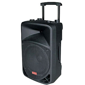Baretone 1515BWR 15 inch Portable Wireless Speaker